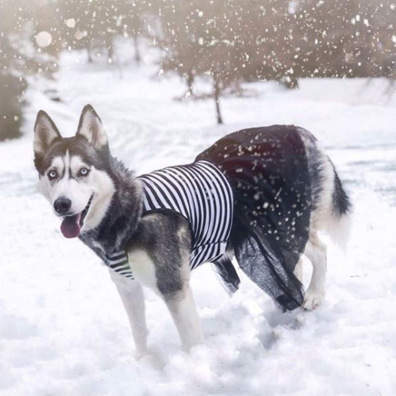 Midlee Elegant Black & White Stripe Tutu Large Dog Dress (XXX-Large) - Image 3